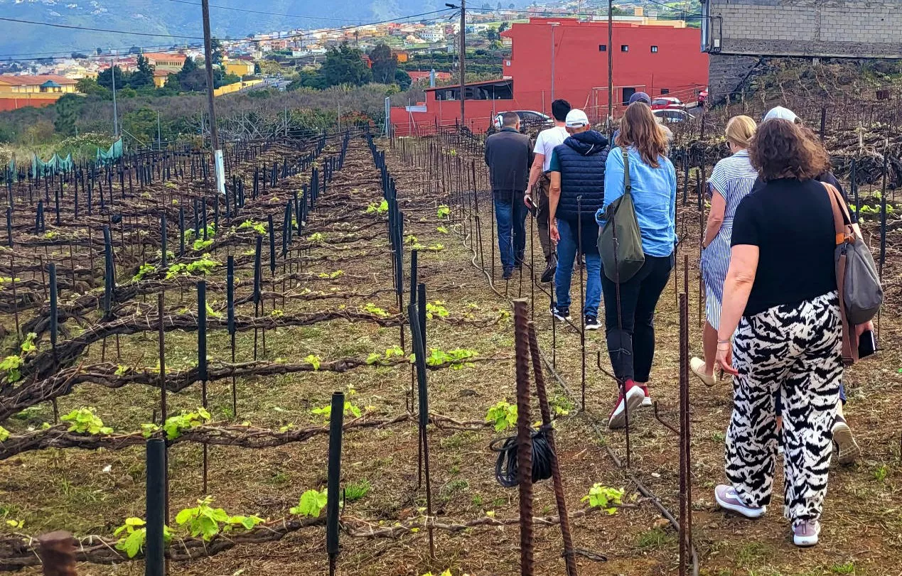 Canary-Wine-organiza-mision-comercial-inversa-con-importadores-norteamericanos_archipielago-gourmet_2