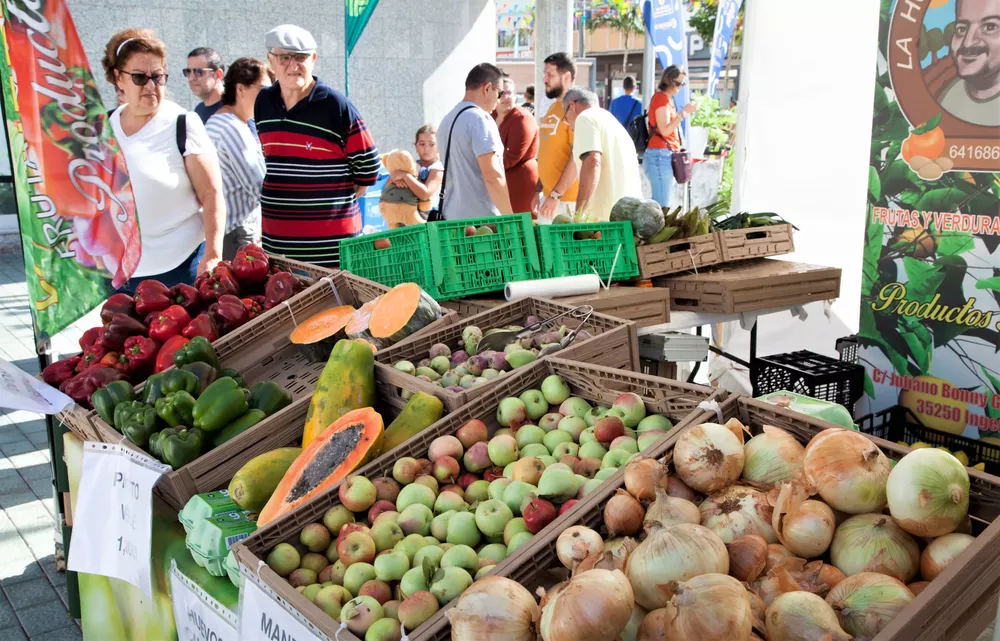 feria-km0-gran-canaria-sureste-3_archipielago-gourmet